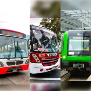 Sistema para transporte